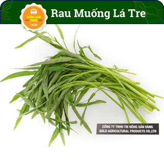 Hạt giống Rau Muống Lá Tre Tỉ Lệ Nảy Mầm Cao, Sinh Trưởng, Phát Triển Khỏe, Năng Suất Cao (Gói 20 Gram) - Nông Sản Vàng