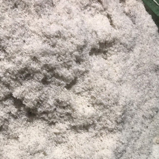 2KG Phân hữu cơ sạch BORN MEAL từ BỘT SỪNG XƯƠNG TRÂU  kích rễ mầm lá, cho Hoa hồng, phong lan, cây cảnh, rau sạch