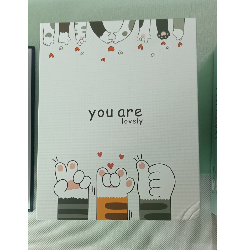 ALBUM ảnh 13x18 để 100 tấm bìa giấy cứng mẫu siêu đẹp