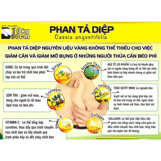 Giảm Cân Phan Tả Diệp
