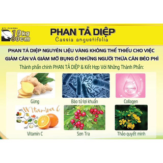 Giảm Cân Phan Tả Diệp