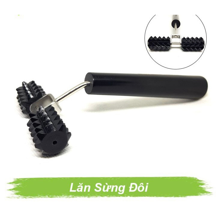 (hỏa tốc) DIỆN CHẨN LĂN SỪNG ĐÔI LỚN