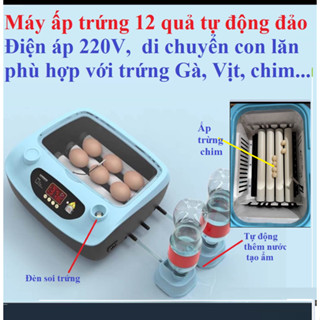 Máy ấp trứng tự động  đảo và cấp nước mã 12-16-24 quả( hàng nhập nguyên chiếc)