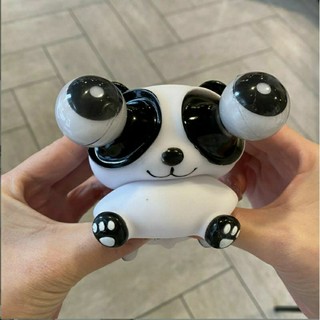 GẤU MẮT LỒI