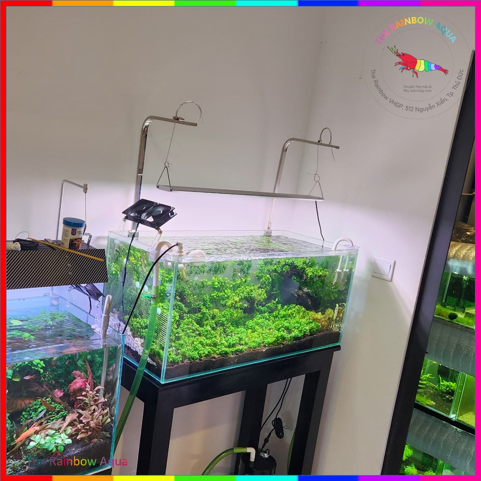 Giá treo đèn Inox 304 hàng đẹp  kèm phụ kiện