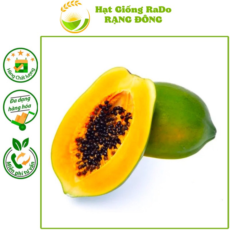 Hạt Giống Đu Đủ Ruột Vàng Vĩnh Tường (Gói 5hạt) trái to, dễ trồng, năng suất cao. Hạt Giống Rạng Đông