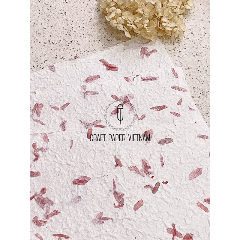 CRAFT PAPER - GIẤY HANDMADE THẢ LÁ (Garlic/Tamarind)