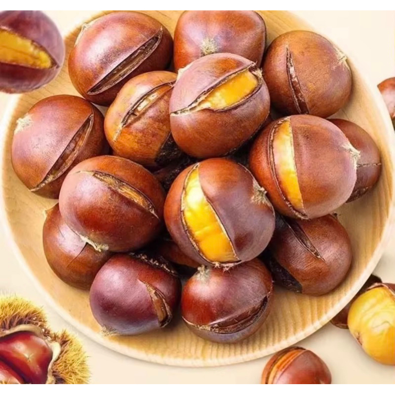 1 KÝ HẠT DẺ TƯƠI HẠT TO SIÊU NGON( có giao hỏa tốc Tphcm)