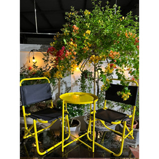 freeshipCombo 2 ghế 1 bàn trà chanh 🍋🍋 tiện lợi mẫu mớiđủ màu