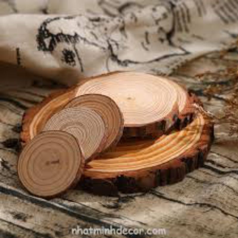Miếng gỗ decor trang trí 30-35cm