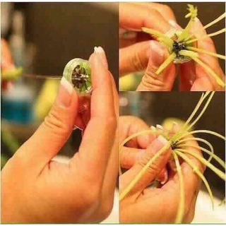 Dụng Cụ Chẻ Rau Muống, Chẻ Hành