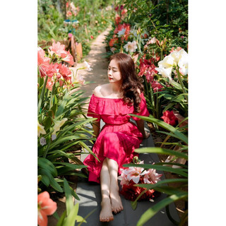 1 củ hoa Lan Huệ kép