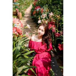 1 củ hoa Lan Huệ kép