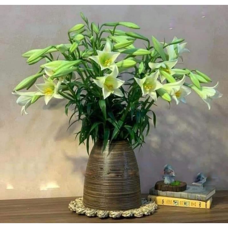 Bình chuông ganh Bát Tràng cao 23cm