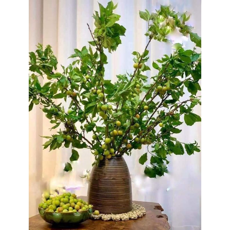 Bình chuông ganh Bát Tràng cao 23cm