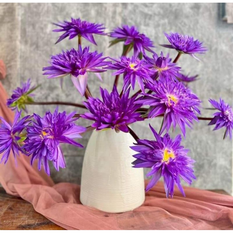 Bình chuông ganh Bát Tràng cao 23cm