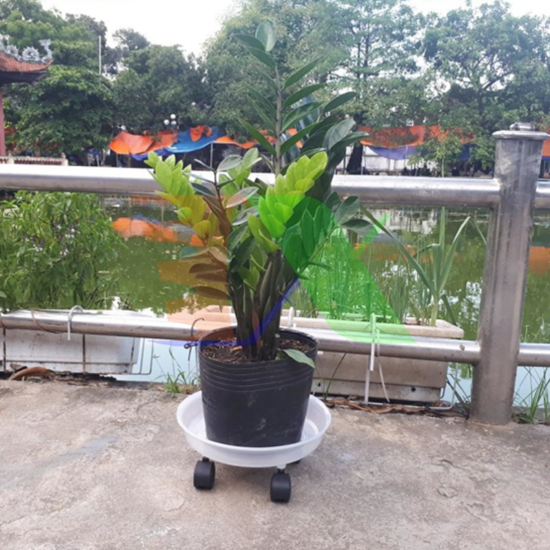 300 Chậu nhựa C9.A 21.5x17.5cm trồng cây ăn trái và hoa,bền 10 năm -77120