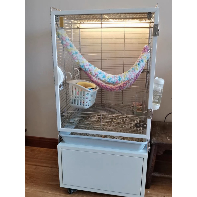 Giây tập bay leo trèo cho Sóc Bay Úc