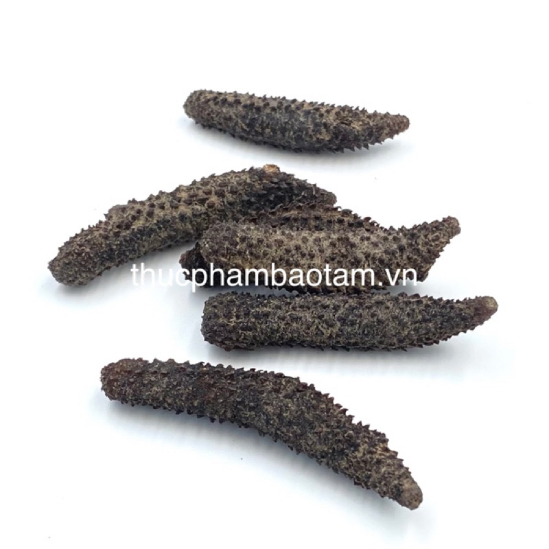 HẢI SÂM GAI KHÔ NHA TRANG