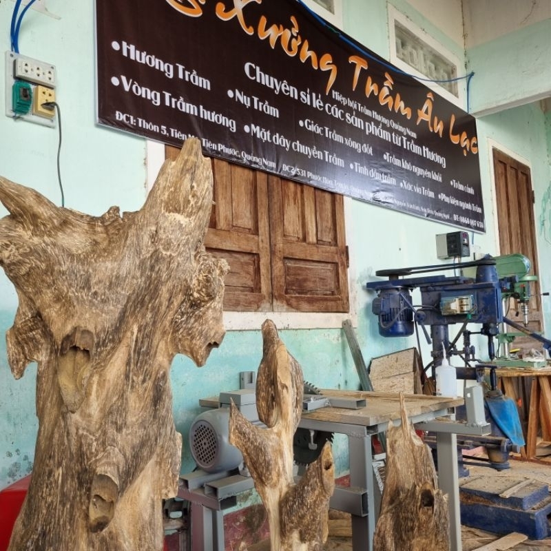 Hương Trầm Bó 450 Cây Mùi Thơm Ngọt Dịu Ít Khói Hàng Tự Nhiêu 100%