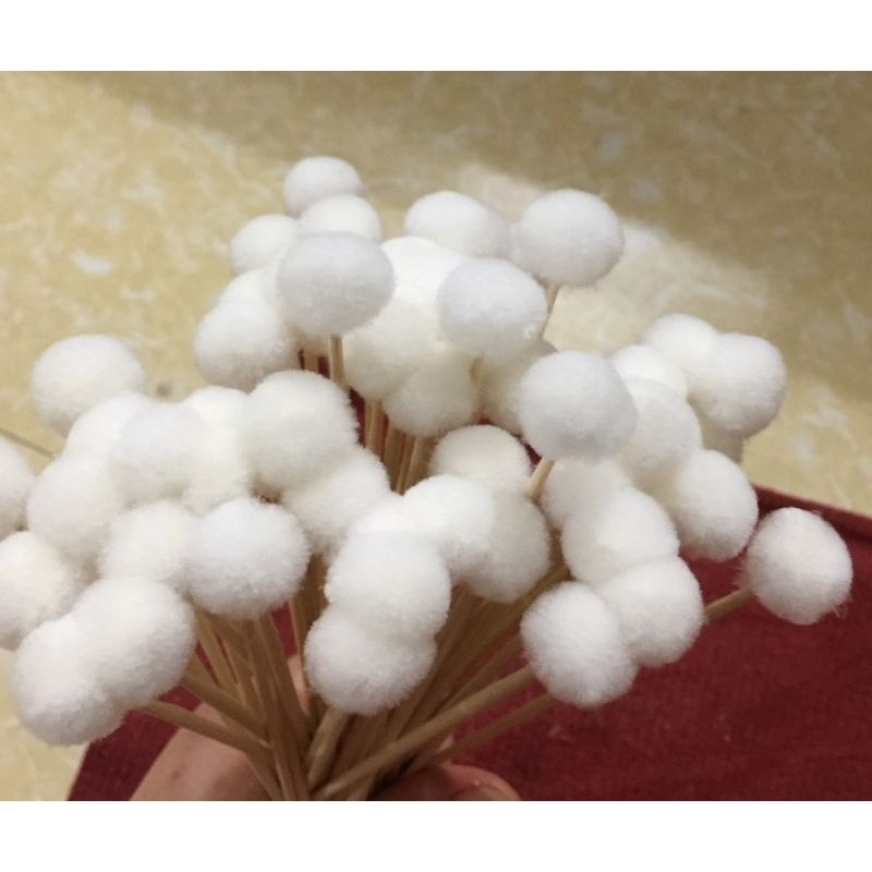 Bông Se Tai , siêu mịn  50 cây