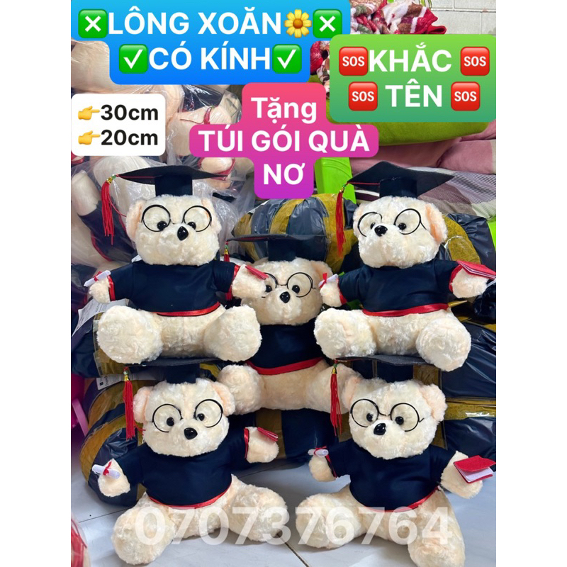 30cm-20cm GẤU BÔNG TỐT NGHIỆP LÔNG XÙ Cao Cấp - Tặng Kèm Túi Gói Quà + Nơ