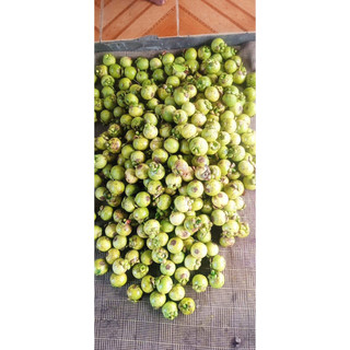 măng cụt xanh 5kí