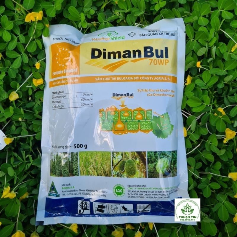Diman Bul 70WP (500gr)