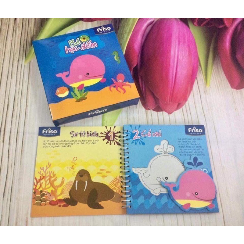 Tập đếm cho bé quà tặng Friso