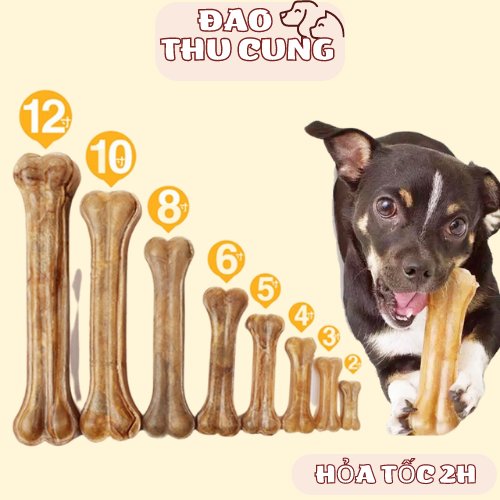 Xương da cho chó gặm đồ ăn cho chó thích hợp cho chó ngứa răng sạch răng chó xương da cho chó gặm giải
