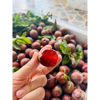 mận hậu 1kí