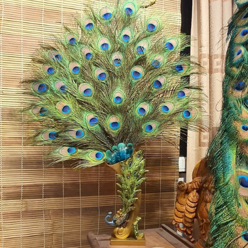 Lông Công Phong Thủy Ấn Độ 60-70cm Hàng Đẹp Mắt To 4-6cm 100% Tự Nhiên