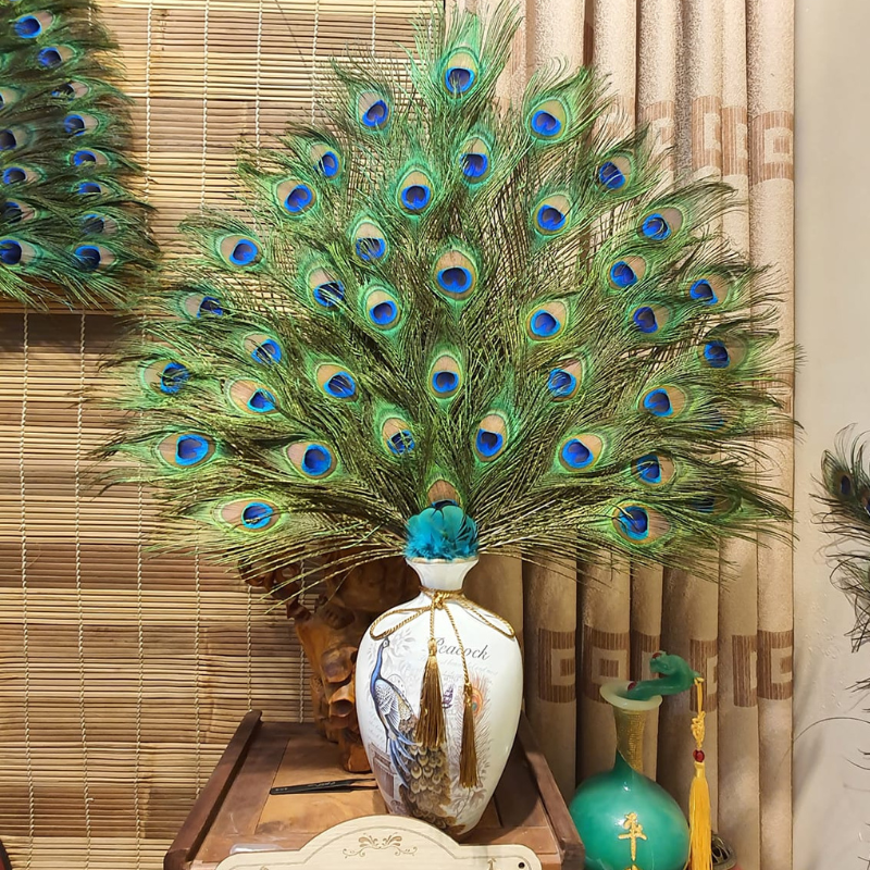 Lông Công Phong Thủy Ấn Độ 60-70cm Hàng Đẹp Mắt To 4-6cm 100% Tự Nhiên