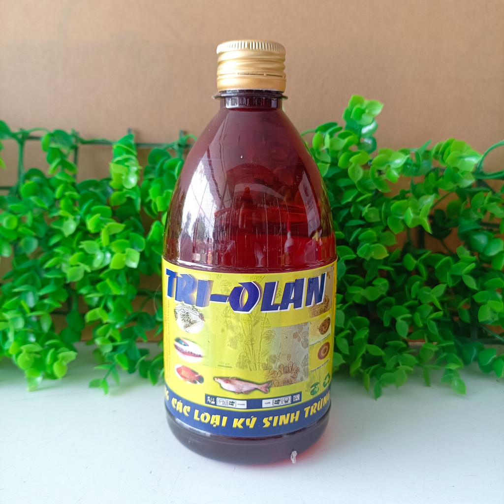 TRI - OLAN diệt nhanh các loại kí sinh trùng, nấm trên cá, tôm