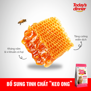 Hạt cho mèo Today's Dinner mọi lứa tuổi - Túi 1kg và Bao 5kg - Nhập khẩu Hàn Quốc | phinthecat