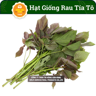 Hạt giống Rau Tía Tô Dễ Trồng, Hương Vị Độc Đáo, Nhiều Công Dụng Tốt Cho Sức Khỏe(Gói 2 Gram) - Nông Sản Vàng