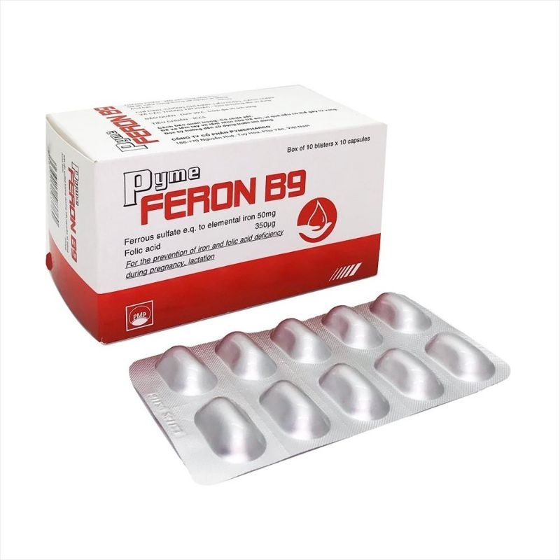 Pyme feron B9 h100v