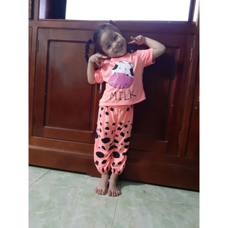 bộ bò sữa cho bé gái chất cotton mền mát