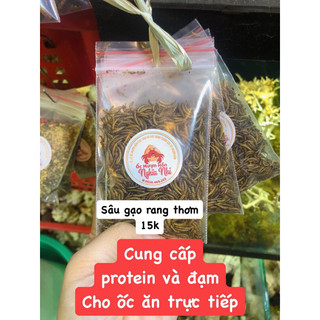 SÂU GẠO RANG KHÔ DÀNH CHO ỐC MƯỢN HỒN