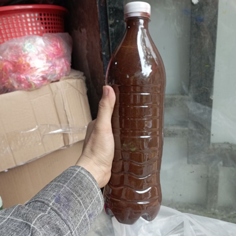 Màu tô tượng 1000 ml