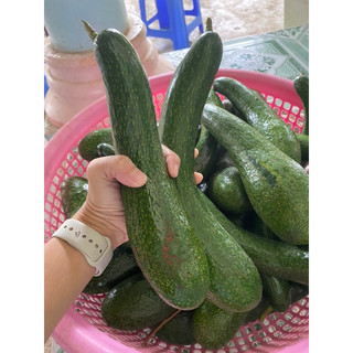 1 KG Bơ 034 Lâm Đồng size 3-4