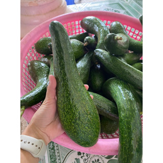 1 KG Bơ 034 Lâm Đồng size 3-4