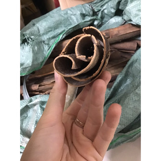 500gram vỏ quế khô, quế thanh khô ( chưa cạo vỏ )