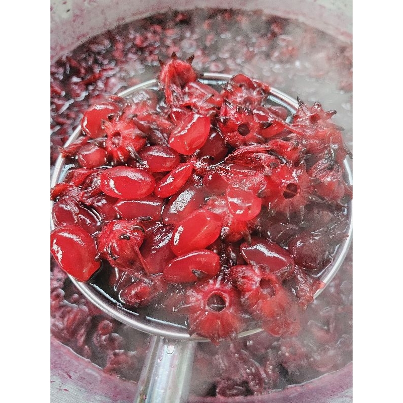 5 ký Atiso đỏ rim đác