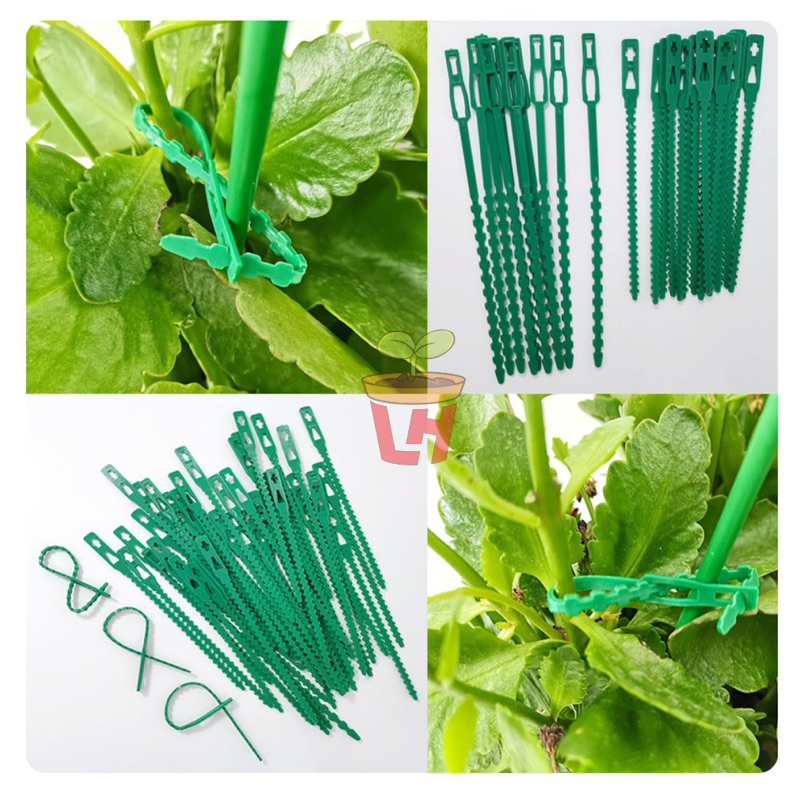 Set 50 dây rút nhựa tuỳ chỉnh, hỗ trợ trồng cây dây leo, buộc linh kiện đa dụng, tái sử dụng nhiều lần