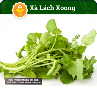 Hạt giống Xà Lách Xoong Dễ Trồng Dễ Chăm Sóc Sinh Trưởng Tốt, Trồng Một Lần Ăn Cả Năm (Gói 0.5 Gram) - Nông Sản Vàng