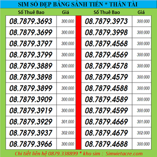 Sim 4G chọn số SẢNH TIẾN * 345-456-678 * intel đồng giá 300k có gói V77 90GB/tháng free gọi vina