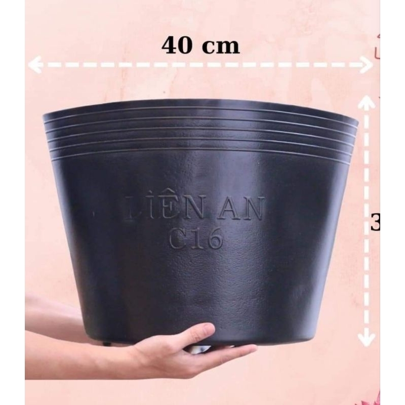 Chậu nhựa đen mềm không lỗ C16 trồng sen, nuôi cá