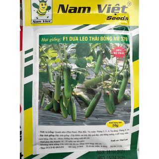 Hạt giống dưa leo siêu trái nam việt 379