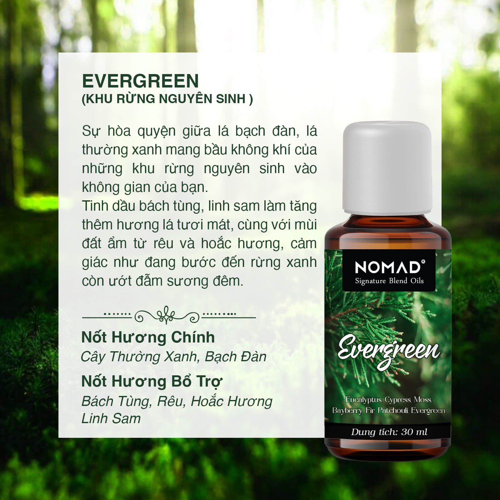 Tinh Dầu Thơm Từ Trầm Hương, Muối Biển Nomad Signature Blend Oils 10ml